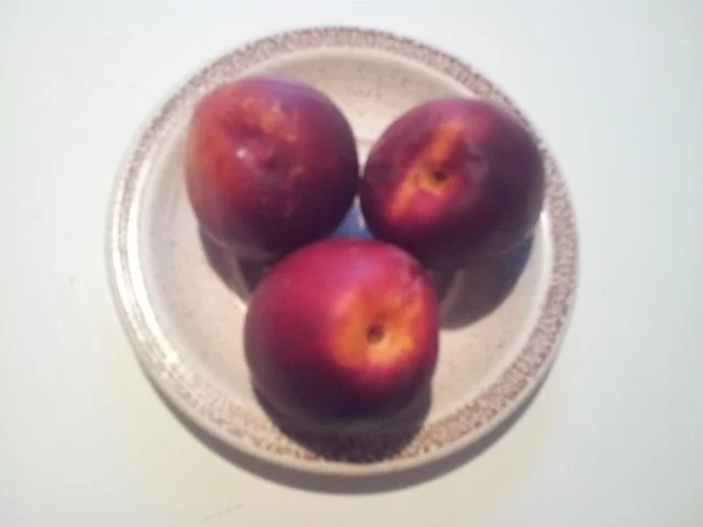 Obst-Salat im Juli mit Heidelbeeren - Rezept - Bild Nr. 9