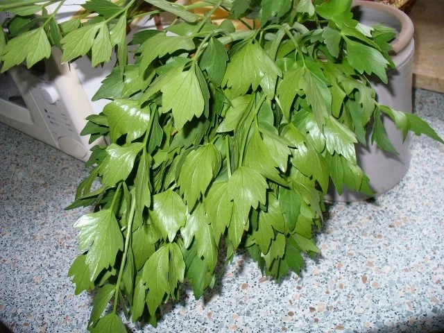 Rezept: gefülltes Minutensteak Bild Nr. 14 gefülltes Minutensteak - Rezept - Bild Nr. 14