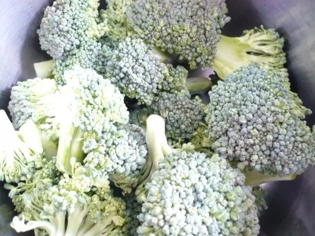 Nudel - Thunfisch Salat - Rezept - Bild Nr. 3