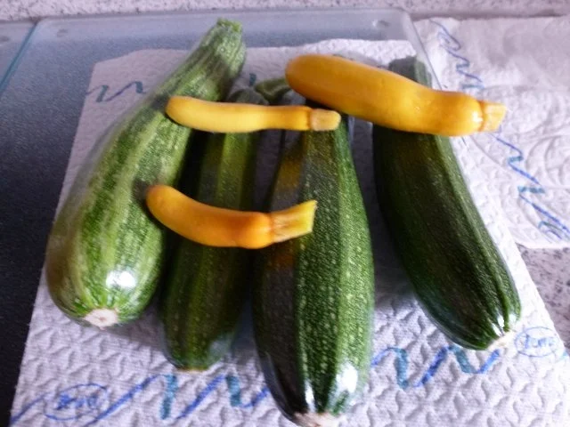 Rezept: Zucchinisalat Gelb-Grün zu NT Paprika-Rollbraten Bild Nr. 2 Zucchinisalat Gelb-Grün zu NT Paprika-Rollbraten - Rezept - Bild Nr. 2