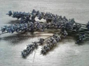 selbstgemachtes Lavendeleis - Rezept