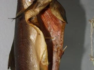 Rezept: Pazifischer Lachs Geräuchert Bild Nr. 2 Pazifischer Lachs Geräuchert - Rezept - Bild Nr. 2