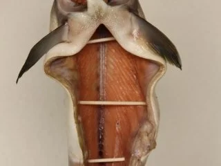 Rezept: Pazifischer Lachs Geräuchert Bild Nr. 3 Pazifischer Lachs Geräuchert - Rezept - Bild Nr. 3