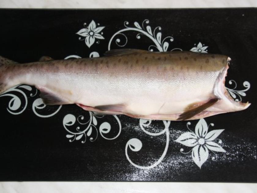 Pazifischer Lachs Geräuchert - einfach - von Molochai