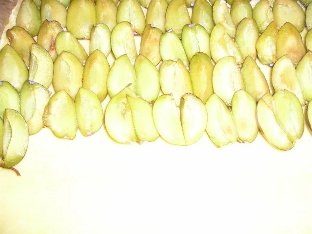 Rezept: Pflaumenkuchen mit Streuseln Bild Nr. 5 Pflaumenkuchen mit Streuseln - Rezept - Bild Nr. 5