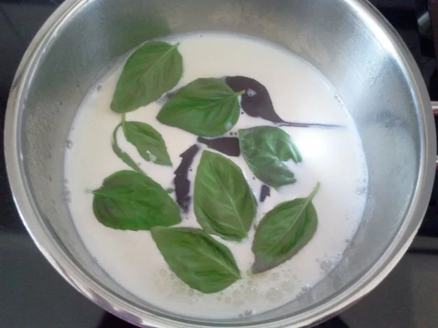 Rezept: Feurige Tomatnsuppe mit Basilikumschaum Bild Nr. 2 Feurige Tomatnsuppe mit Basilikumschaum - Rezept - Bild Nr. 2