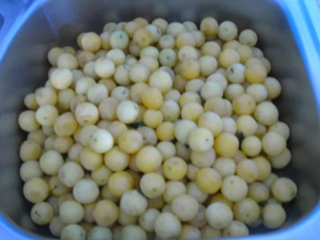 Reineclaude-Gelee - Rezept - Bild Nr. 2