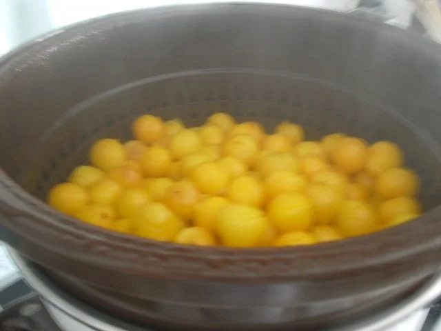 Reineclaude-Gelee - Rezept - Bild Nr. 5