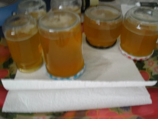 Reineclaude-Gelee - Rezept - Bild Nr. 8