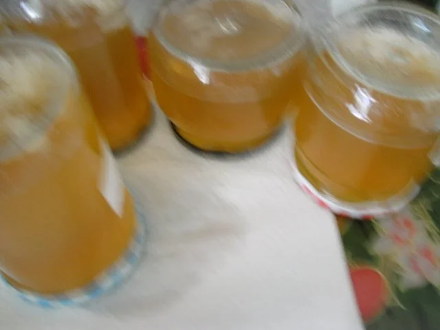 Reineclaude-Gelee - Rezept - Bild Nr. 9