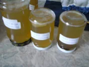 Rezept: Reineclaude-Gelee Reineclaude-Gelee - Rezept