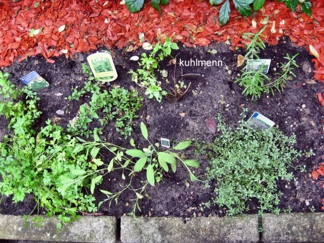 Rezept: Bratwurst/Tomaten-Nudelsoße Bild Nr. 4 Bratwurst/Tomaten-Nudelsoße - Rezept - Bild Nr. 4