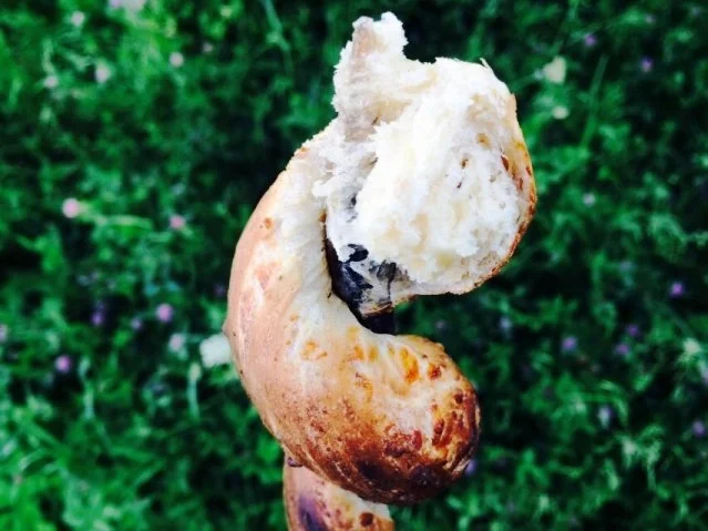 Rezept: Stockbrotteig herzhaft Stockbrotteig herzhaft - Rezept