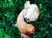 Stockbrotteig herzhaft - Rezept