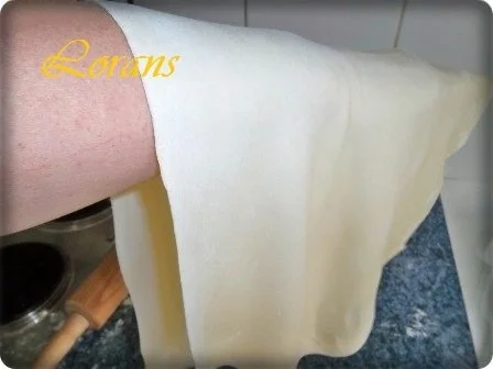 Rezept: ❈ Selbstgemachte Bandnudeln mit Bolognese-Sause und Parmesankäse ❈ Bild Nr. 9 ❈ Selbstgemachte Bandnudeln mit Bolognese-Sause und Parmesankäse ❈ - Rezept - Bild Nr. 9