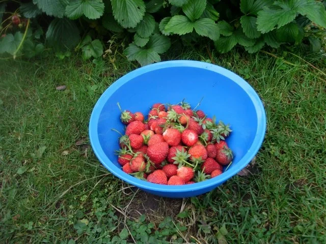 Erdbeerkonfitüre - Rezept - Bild Nr. 2