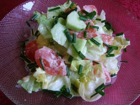 Rezept: leckerleichter Sommersalat mit Schmanddip Bild Nr. 6 leckerleichter Sommersalat mit Schmanddip - Rezept - Bild Nr. 6