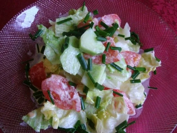 Rezept: leckerleichter Sommersalat mit Schmanddip Bild Nr. 2 leckerleichter Sommersalat mit Schmanddip - Rezept - Bild Nr. 2