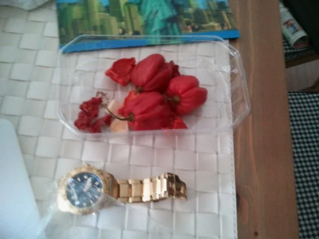 Leber-Party mit jungem, frischem und scharfen Gemüse - Rezept - Bild Nr. 5