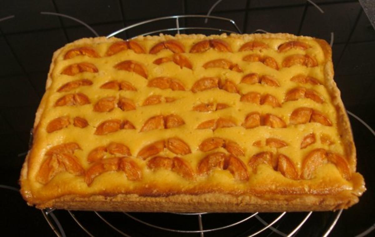 " Mini " Aprikosen-Pudding-Kuchen - Rezept - Bild Nr. 2