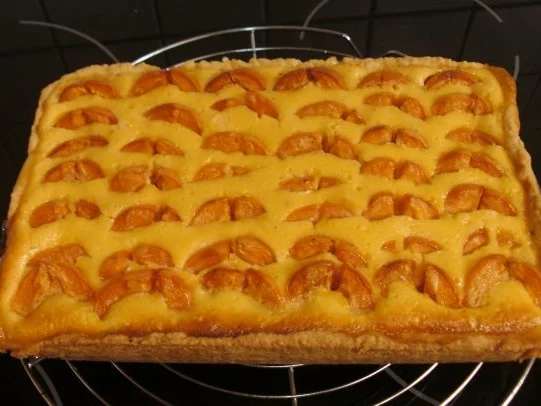 Rezept: " Mini " Aprikosen-Pudding-Kuchen Bild Nr. 2 " Mini " Aprikosen-Pudding-Kuchen - Rezept - Bild Nr. 2