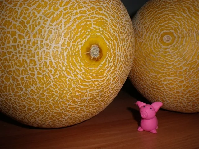 Rezept: Melonen-Konfitüre Melonen-Konfitüre - Rezept