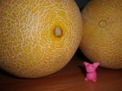 Melonen-Konfitüre - Rezept