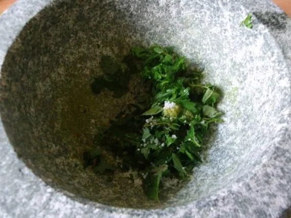 marinierte Hähnchenbrustfilet"s mit karamellisierten Möhren in Senf-Schnittlauchsosse - Rezept - Bild Nr. 6