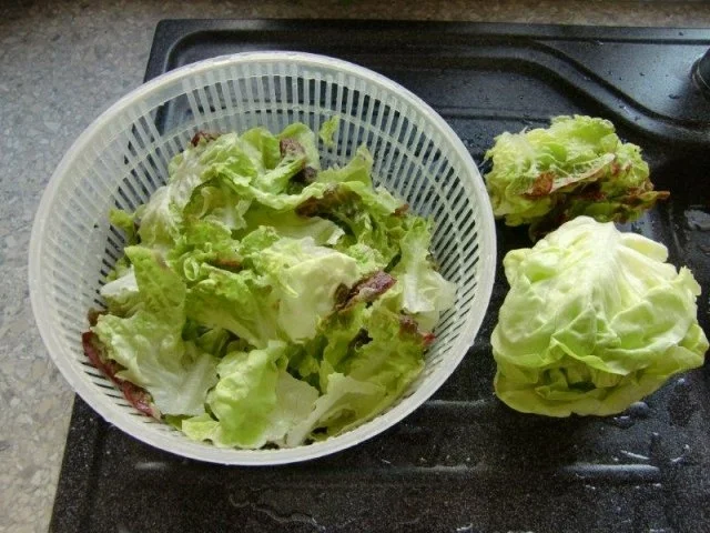 Geschnetzeltes mit Champignons auf ein Reisbett - Rezept - Bild Nr. 4