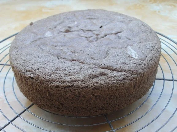 Rezept: Schokobiskuit für eine 20-er Form Schokobiskuit für eine 20-er Form - Rezept