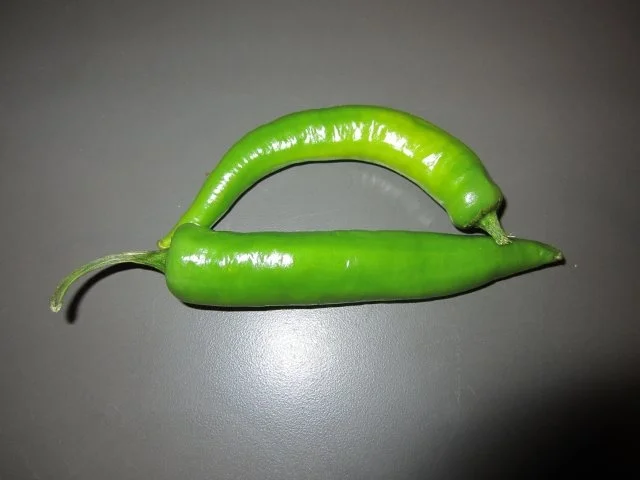 Chili-Gewürz-Öl - Rezept - Bild Nr. 2