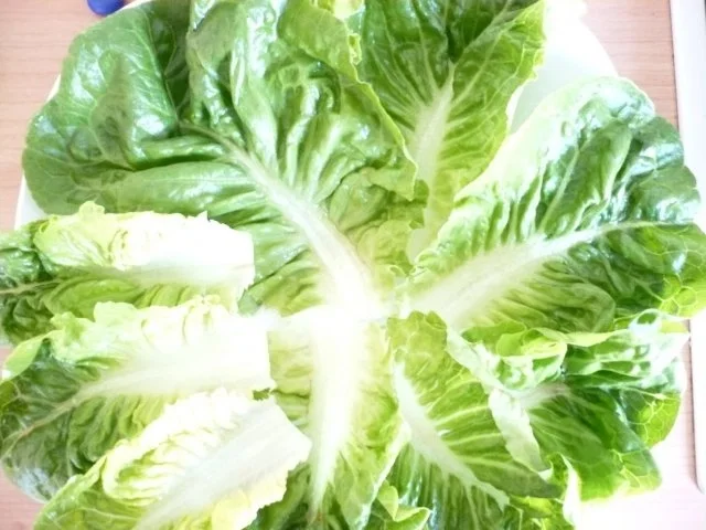 Sommerlicher Salat - Rezept - Bild Nr. 5