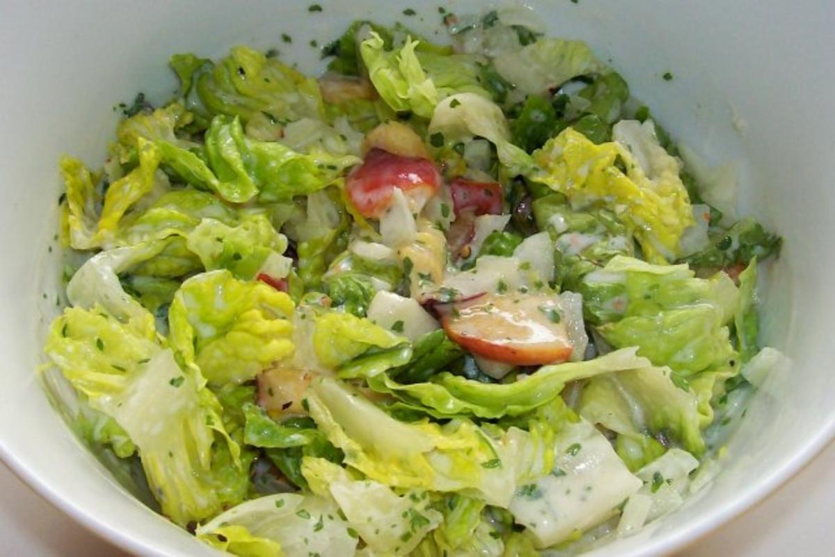 Grüner Salat Mit Joghurt Dressing — Rezepte Suchen