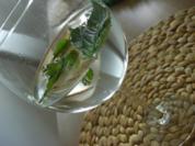 HUGO... - Rezept