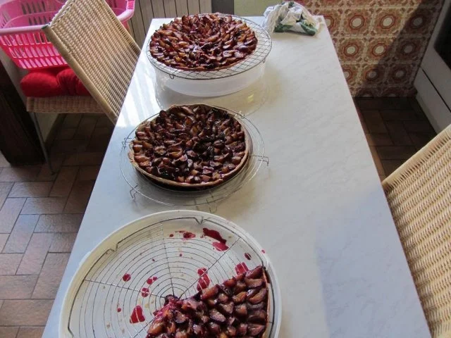 Rezept: Hefe Kuchen mit Pflaumen Bild Nr. 13 Hefe Kuchen mit Pflaumen - Rezept - Bild Nr. 13