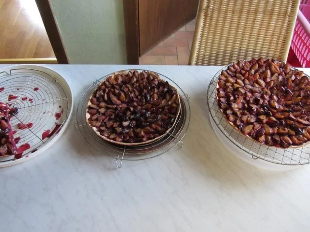 Rezept: Hefe Kuchen mit Pflaumen Bild Nr. 14 Hefe Kuchen mit Pflaumen - Rezept - Bild Nr. 14