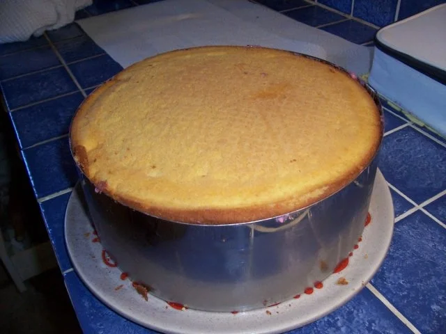 Waldbeeren Torte - Rezept - Bild Nr. 15