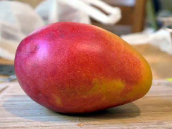 Scharfes Mango-Tomaten-Hähnchen - Rezept - Bild Nr. 2