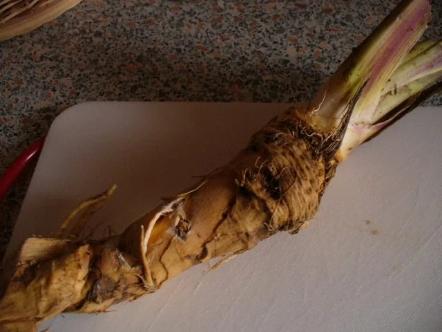 eingelegte Zucchini zum Schnellverzehr - Rezept - Bild Nr. 12