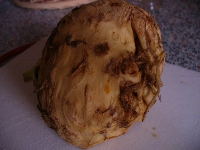 eingelegte Zucchini zum Schnellverzehr - Rezept - Bild Nr. 13