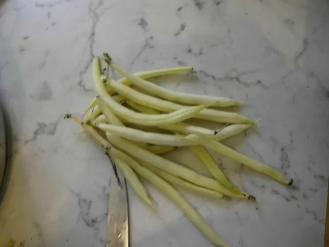 Paprikásch aus gelben Bohnen - Ungarn - Rezept - Bild Nr. 3