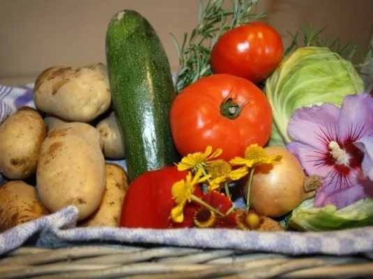 Geräucherte Dorade auf dem Gemüsebett - Rezept - Bild Nr. 4