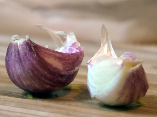 Rezept: Pikante Porree-Apfel-Quiche Bild Nr. 5 Pikante Porree-Apfel-Quiche - Rezept - Bild Nr. 5