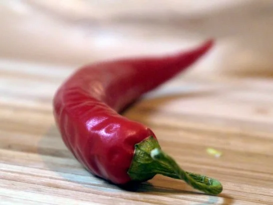 Rezept: Pikante Porree-Apfel-Quiche Bild Nr. 6 Pikante Porree-Apfel-Quiche - Rezept - Bild Nr. 6