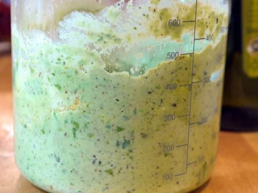 Pesto mit gerösteter Zucchini - Rezept - Bild Nr. 8