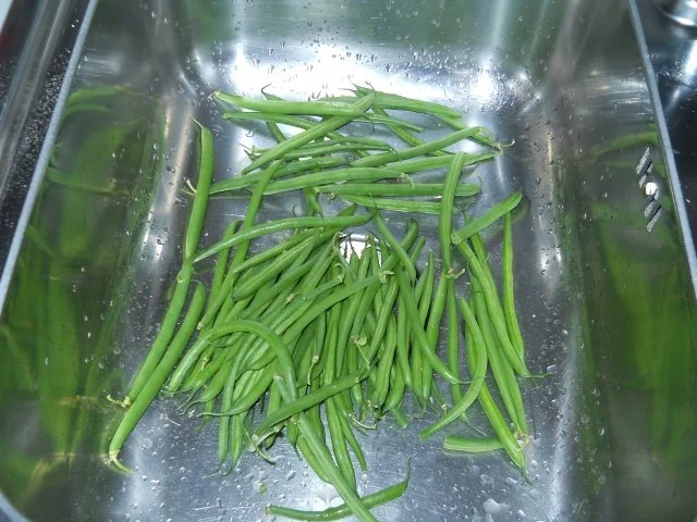 Rezept: Kräuterfrikadellen mit frischen Bohnen Bild Nr. 9 Kräuterfrikadellen mit frischen Bohnen - Rezept - Bild Nr. 9