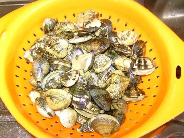 Rezept: Vongole mit Spaghetti Bild Nr. 3 Vongole mit Spaghetti - Rezept - Bild Nr. 3