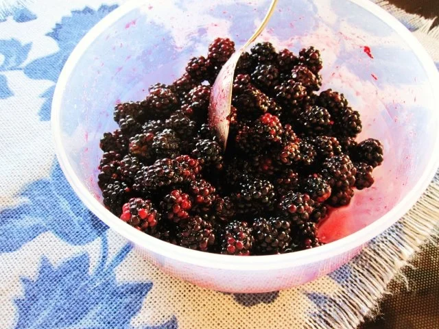 Selbst-gesuchtes Sonntags-Dessert ... - Rezept - Bild Nr. 2