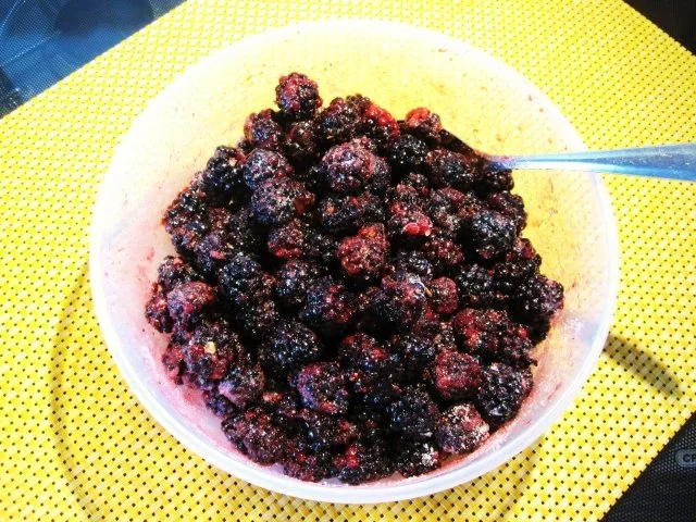 Selbst-gesuchtes Sonntags-Dessert ... - Rezept - Bild Nr. 3