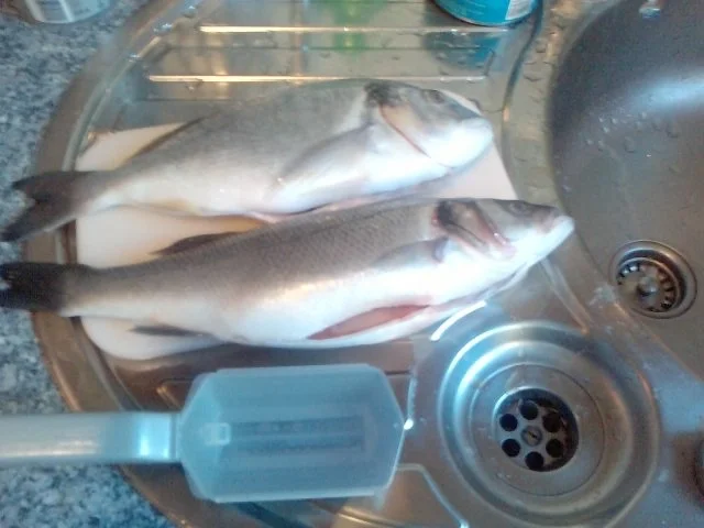 Rezept: 2 Fische und ein Mann oder DAS ist ein Fischteller Bild Nr. 2 2 Fische und ein Mann oder DAS ist ein Fischteller - Rezept - Bild Nr. 2